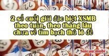 Thống kê 2 số cuối giải đặc biệt XSMB theo tuần, tháng, năm lâu chưa về Thống kê 2 số cuối giải đặc biệt XSMB theo tuần, tháng, năm lâu chưa về