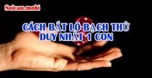 Cách bắt lô bạch thủ duy nhất 1 con chính xác nhất Cách bắt lô bạch thủ duy nhất 1 con chính xác nhất