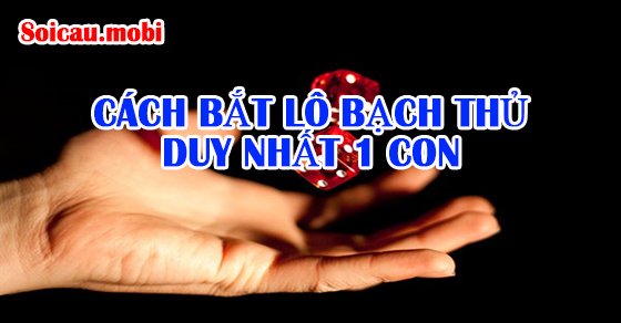 Cách bắt bạch thủ duy nhất 1 con