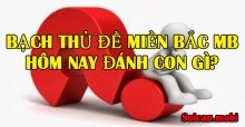 Bạch thủ đề miền Bắc MB hôm nay đánh con gì? Bạch thủ đề miền Bắc MB hôm nay đánh con gì?