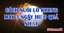 Cách nuôi lô khung max 3 ngày, nuôi dàn lô đề hiệu quả nhất Cách nuôi lô khung max 3 ngày, nuôi dàn lô đề hiệu quả nhất