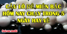 Cầu lô đề miền bắc hôm nay chạy trong 5 ngày hay về Cầu lô đề miền bắc hôm nay chạy trong 5 ngày hay về
