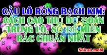 Thống kê tần suất loto, bảng tổng hợp đầu đít lô câm, lô khan rồng bạch kim Thống kê tần suất loto, bảng tổng hợp đầu đít lô câm, lô khan rồng bạch kim