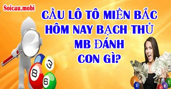 Cầu lô tô miền bắc hôm nay bạch thủ MB đánh con gì? Cầu lô tô miền bắc hôm nay bạch thủ MB đánh con gì?