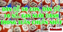 Dàn đề 56 con, dàn đề 10 số, gan nuôi đánh trong tuần chuẩn nhất Dàn đề 56 con, dàn đề 10 số, gan nuôi đánh trong tuần chuẩn nhất