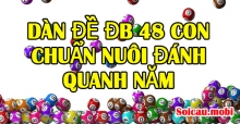 Dàn đề đb 48 con chuẩn nuôi đánh quanh năm Dàn đề đb 48 con chuẩn nuôi đánh quanh năm