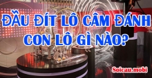 Đầu đít lô câm đánh con lô gì nào chính xác nhất? Đầu đít lô câm đánh con lô gì nào chính xác nhất?