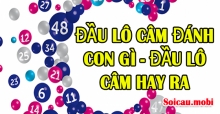 Đầu lô câm đánh con gì và đầu lô câm hay ra là số mấy? Đầu lô câm đánh con gì và đầu lô câm hay ra là số mấy?