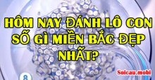 Hôm nay đánh lô con số gì miền bắc đẹp nhất? Hôm nay đánh lô con số gì miền bắc đẹp nhất?