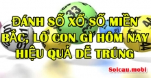Thảo luận lô đề miền Bắc hôm nay - XSMB hôm nay đánh lô đề con gì chắc ăn? Thảo luận lô đề miền Bắc hôm nay - XSMB hôm nay đánh lô đề con gì chắc ăn?