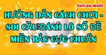 Hướng dẫn cách chơi lô, dạy cách đánh đề, bắt lô miền Bắc chuẩn nhất Hướng dẫn cách chơi lô, dạy cách đánh đề, bắt lô miền Bắc chuẩn nhất