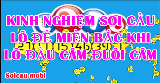 Kinh nghiệm soi cầu lô đề miền Bắc khi lô đầu câm đuôi câm Kinh nghiệm soi cầu lô đề miền Bắc khi lô đầu câm đuôi câm