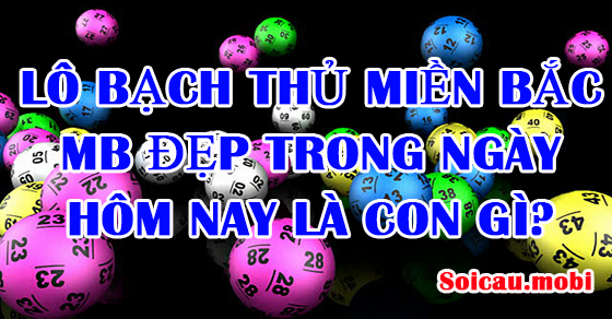 Lô bạch thủ miền bắc mb đẹp trong ngày hôm nay