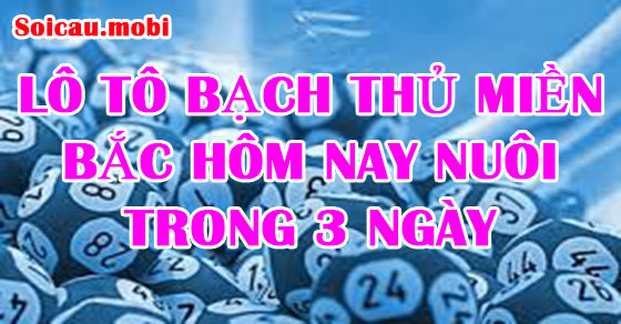 Lô tô bạch thủ miền bắc hôm nay nuôi trong 3 ngày Lô tô bạch thủ miền bắc hôm nay nuôi trong 3 ngày