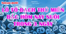 Lô tô bạch thủ miền bắc hôm nay nuôi trong 3 ngày cực chuẩn Lô tô bạch thủ miền bắc hôm nay nuôi trong 3 ngày cực chuẩn