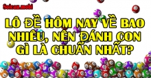 Xem đề về bao nhiêu, hôm nay đánh lô đề con gì đẹp? Xem đề về bao nhiêu, hôm nay đánh lô đề con gì đẹp?
