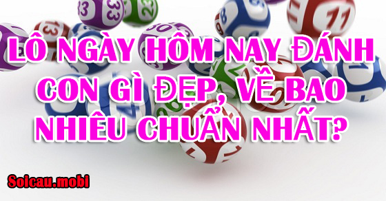 Lô ngày hôm nay đánh con gì đẹp, về bao nhiêu chuẩn nhất?