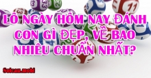 Lô ngày hôm nay đánh con gì đẹp, về bao nhiêu chuẩn nhất? Lô ngày hôm nay đánh con gì đẹp, về bao nhiêu chuẩn nhất?