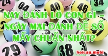 Nay đánh lô con gì – ngày mai đánh đề số mấy chuẩn nhất?