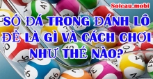 Số đá trong đánh lô đề là gì và cách chơi như thế nào? Số đá trong đánh lô đề là gì và cách chơi như thế nào?