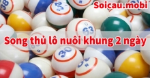 Bật mí bí quyết nuôi song thủ lô khung 2 ngày hiệu quả, ăn lãi cao Bật mí bí quyết nuôi song thủ lô khung 2 ngày hiệu quả, ăn lãi cao