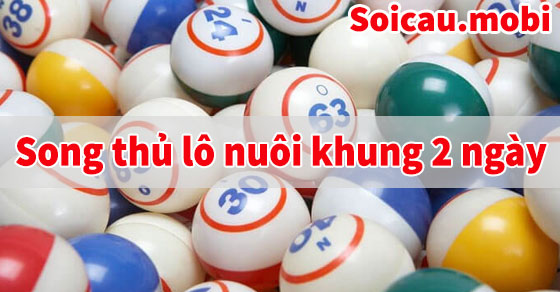 Song thủ lô nuôi khung 2 ngày hiệu quả Song thủ lô nuôi khung 2 ngày hiệu quả