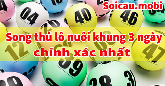 Song thủ lô nuôi khung 3 ngày chính xác Song thủ lô nuôi khung 3 ngày chính xác