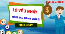 Bí thuật đánh lô 3 nháy siêu chuẩn xác, đánh là trúng ngay hôm nay