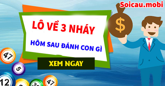 Lô về 3 nháy hôm sau đánh con gì chuẩn nhất Lô về 3 nháy hôm sau đánh con gì chuẩn nhất