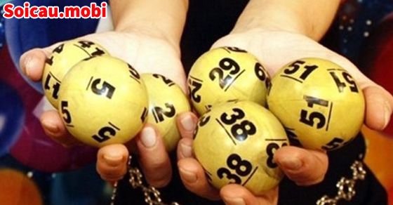 Cách nuôi lô 3 nháy hiệu quả nhất hiện nay Cách nuôi lô 3 nháy hiệu quả nhất hiện nay