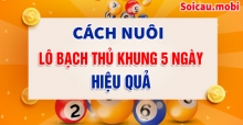 Bí kíp nuôi lô bạch thủ khung 5 ngày siêu chính xác, ăn lãi cao Bí kíp nuôi lô bạch thủ khung 5 ngày siêu chính xác, ăn lãi cao