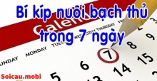 Bí quyết nuôi lô bạch thủ khung 7 ngày chuẩn xác không thể bỏ lỡ Bí quyết nuôi lô bạch thủ khung 7 ngày chuẩn xác không thể bỏ lỡ