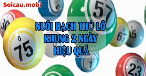 Nuôi bạch thủ lô khung 2 ngày bất bại Nuôi bạch thủ lô khung 2 ngày bất bại