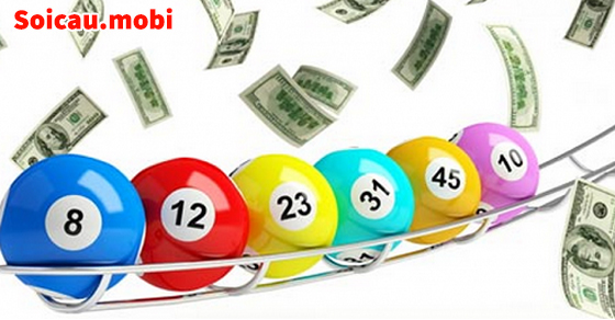 Bạch thủ lô nuôi 2 ngày hiệu quả Bạch thủ lô nuôi 2 ngày hiệu quả