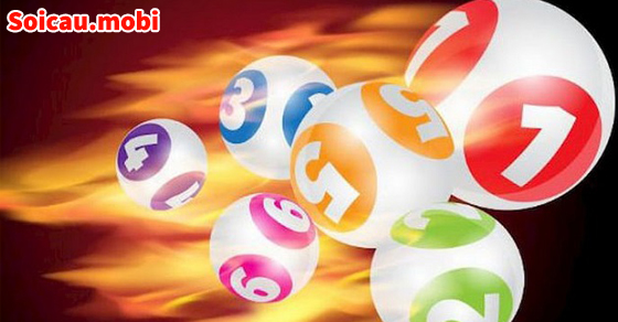 Cách nuôi bạch thủ lô khung 3 ngày chính xác nhất Cách nuôi bạch thủ lô khung 3 ngày chính xác nhất