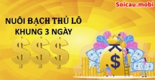 Bật mí cách nuôi bạch thủ lô khung 3 ngày chính xác, chuẩn cao thủ Bật mí cách nuôi bạch thủ lô khung 3 ngày chính xác, chuẩn cao thủ