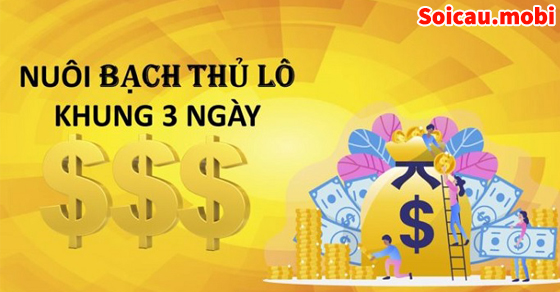 Nuôi bạch thủ lô khung 3 ngày chính xác Nuôi bạch thủ lô khung 3 ngày chính xác