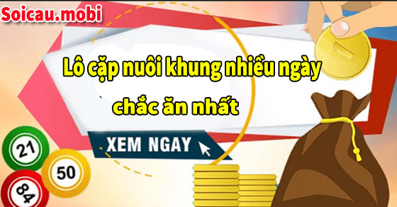 Cách nuôi lô cặp bất bại, ăn lãi cao Cách nuôi lô cặp bất bại, ăn lãi cao