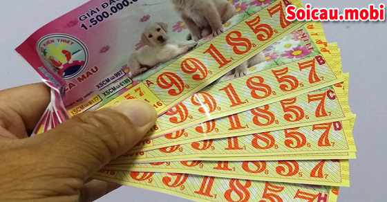 Cách mua vé số trúng độc đắc dễ nhất Cách mua vé số trúng độc đắc dễ nhất