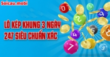 Lô kép khung 3 ngày 247, Cách nuôi lô kép khung 3 ngày siêu chuẩn ăn Lô kép khung 3 ngày 247, Cách nuôi lô kép khung 3 ngày siêu chuẩn ăn