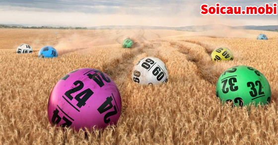 Kinh nghiệm tính lô chuẩn theo lô hình quả trám