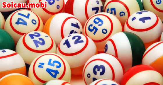 Thuật ngữ lô đề - Bạch thủ lô là gì? Thuật ngữ lô đề - Bạch thủ lô là gì?