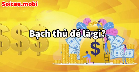 Bạch thủ đề là gì? Bạch thủ đề là gì?