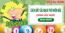 Hướng dẫn cách bắt cầu lô bạch thủ miền Bắc hôm nay chính xác nhất Hướng dẫn cách bắt cầu lô bạch thủ miền Bắc hôm nay chính xác nhất